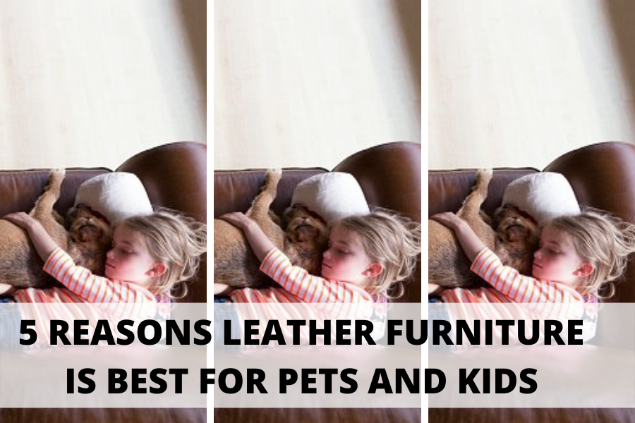 5 Reasons Why Leather Furniture Is Best For Pets And Kids – American ...