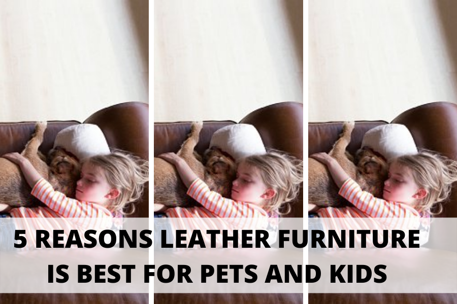 Pets and leather couches hot sale