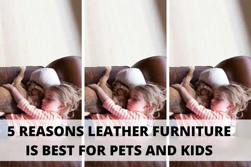 5 Reasons Why Leather Furniture is Best For Pets And Kids
