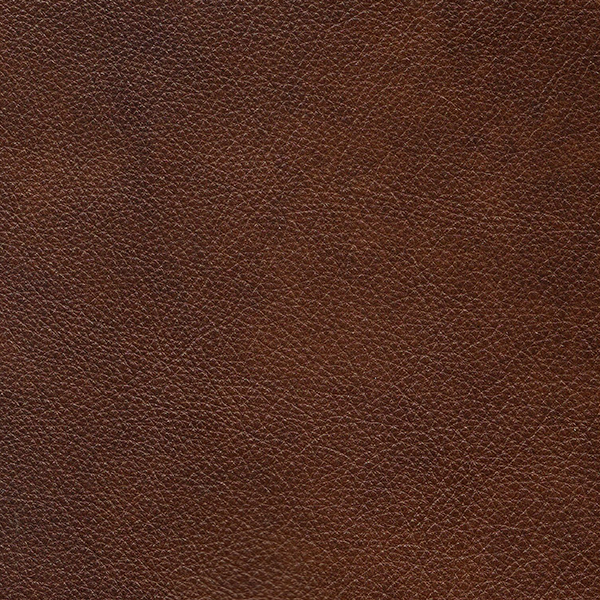 SWATCHES for Animal Leather Prints /sample Book 16 Genuine Leather Fabric  Samples/ Snake Leopard Crocodile Print Samples/ Metallic Embossed 